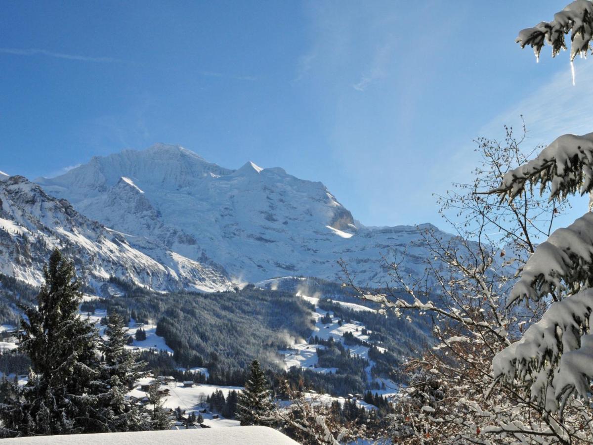 Apartment Eigersonne By Interhome Wengen Buitenkant foto